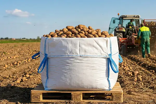 Patate